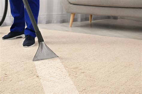 Transforming Your Home's Interior with a Magic Carpet Cleaner